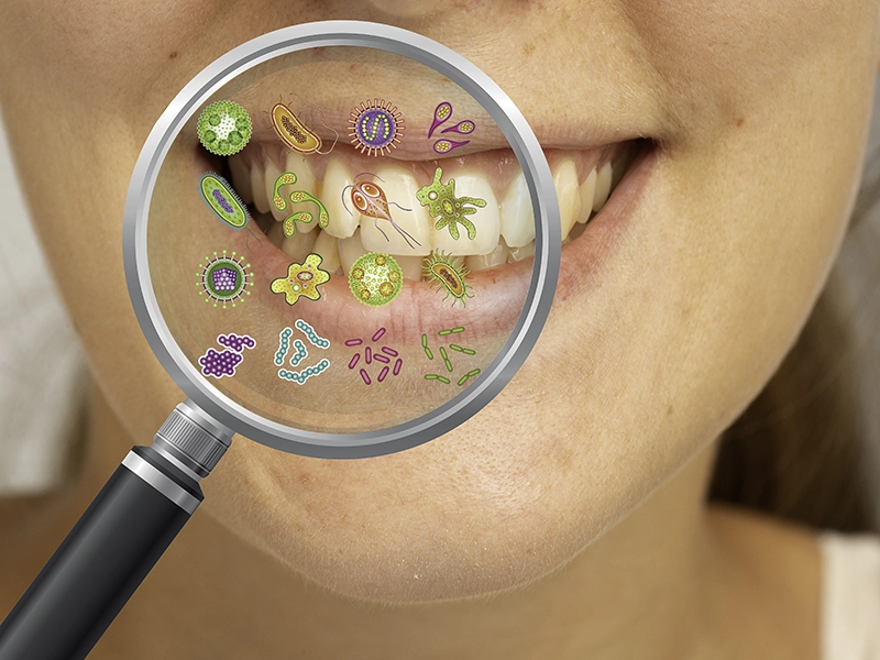 Microbioma. Bacterias en la boca.